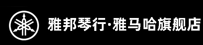 濟(jì)寧市雅邦樂器有限公司